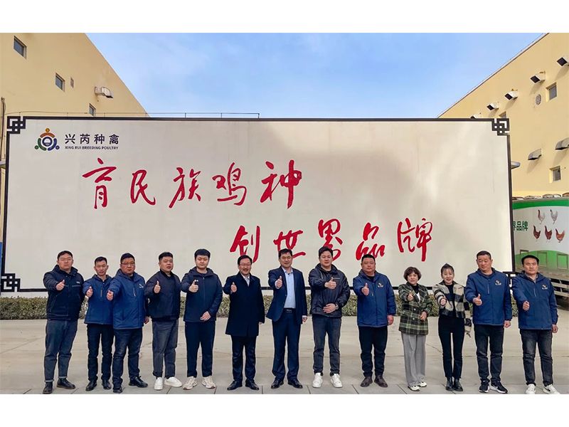 參觀(guān)學(xué)習(xí)促進(jìn)步 交流合作贏發(fā)展︱卓一牧業(yè)赴興芮種禽、峪口禽業(yè)與瑞普生物參觀(guān)訪(fǎng)學(xué)